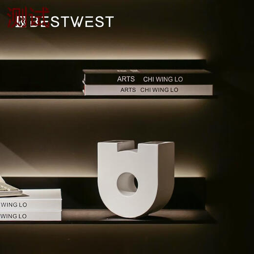 Bestwest Résumé Creative A illustres Wine Cabinet TV Cabinet TV Bibliothèque Bibliothèque Modèle Soft Decoration Ornements JYK16854