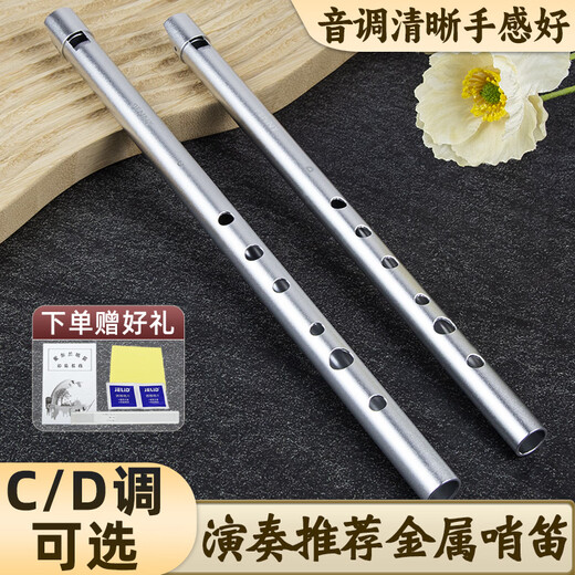 Penney Irlanda Full Metal Whistle Aluminio Aluminio Aleación de 6 hoyos Pitch Shistle Western Recorder recta Flauta Instrumento de viento para principiantes C Tune