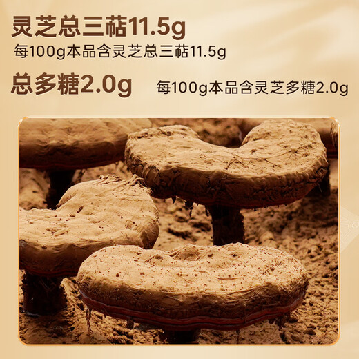 Lei Yunshang [Oficial] Breaking Wall Ganoderma Lucidum Spore Powder Changbaishan Red Ganoderma Lucidum Esencia Esencia mejorada Productos de salud inmune Productos nutricionales [paquete trimestral] Ganoderma Lucidum Spore Powder 60G*3 Box*3