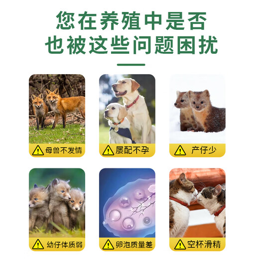 Pet dogs, cats and dogs core material vitamins and trace elements premix breeding supplement nutrition