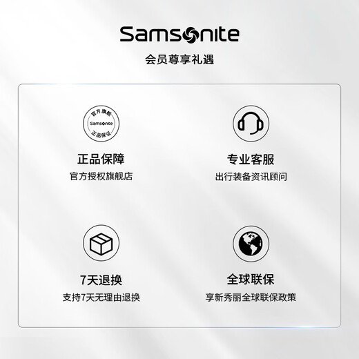 Samsonite suitcase 20 inches + 28 inches trolley box mother suitcase travel lock box NX0 silver