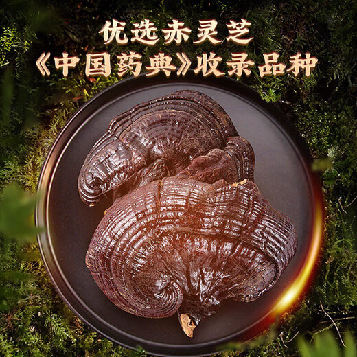 Tongrentang (TRT) Broken Wall Ganoderma lucidum spore powder gift box gift box for elders and parents gift box 200g/box