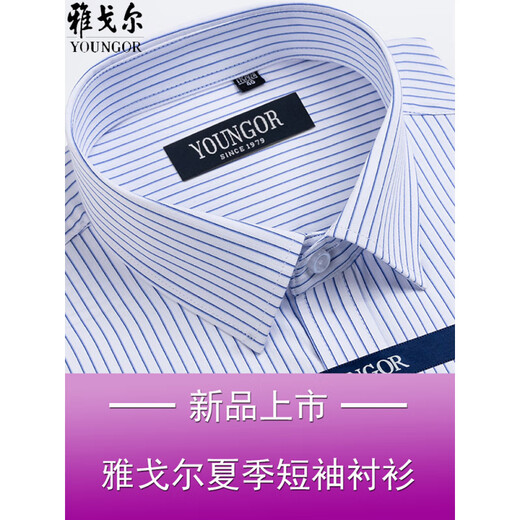 CEO雅戈尔男士短袖衬衫夏季商务休闲职业正装棉免烫中年大码条纹衬衣 短袖DX6624 38