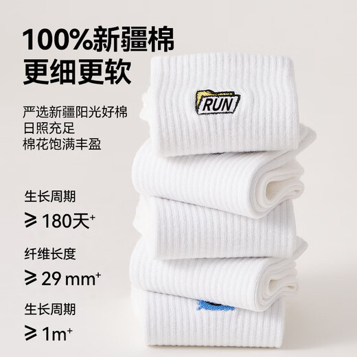 
Cat man 5 pairs of men's socks for men in summer 100% pure cotton embroidered mid-tube socks trendy letter sports basketball socks