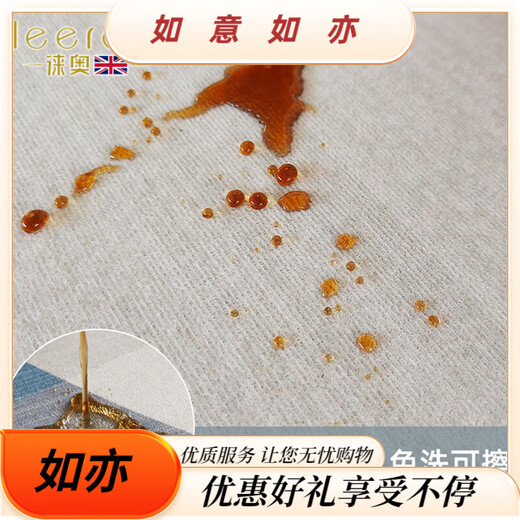 徕奥leerout客厅地毯免洗可擦沙发地垫大面积全铺房间高级感家用防水 简约13567号 100cm*200cm定制联系客服不退换