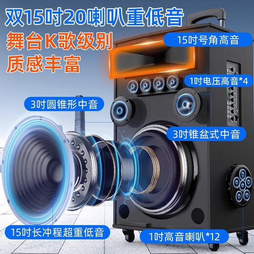 NINTAUS square dance audio subwoofer mobile outdoor karaoke rod microphone speaker amplifier microphone stall speaker N12-9 upgraded model with high power, loud sound and wider coverage 2 microphones + U disk