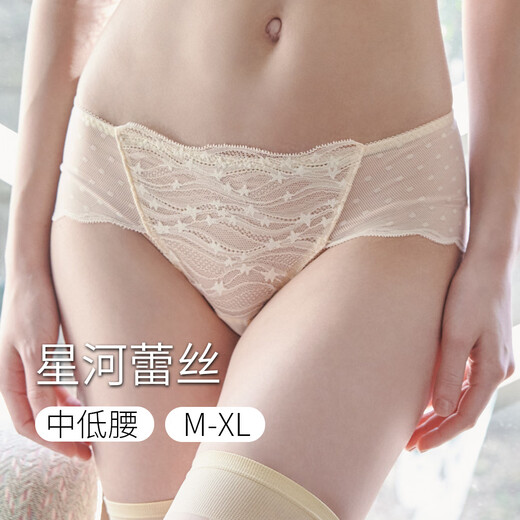 Huagoer Blue Label Japanese Lace Mid-Low-Wait Briefs Underwear Women WP3523 Tender Pink 1 L (165/95)