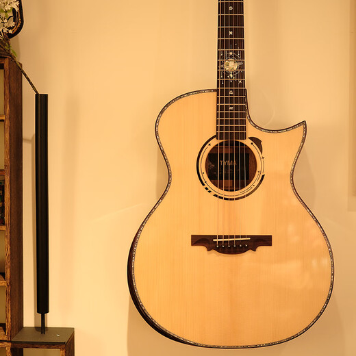 Taima GO PRO-Pickup-Typ mit elektrischer Box