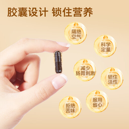 Zhang Taihe gebrochene Ganoderma-Sporenpulver-Kapseln mit blauer Kappe stärken die Immunität. Nährende Geschenk-Sporenpulver-Kapseln (0,3 g Tabletten x 60 Kapseln/Flasche) * 4 Flaschen in Geschenkbox