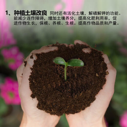 Wobao Bacillus subtilis anti-root rot soil-borne disease microbial agent highly active water-soluble fertilizer microbial agent Bacillus subtilis 200g*1 bag