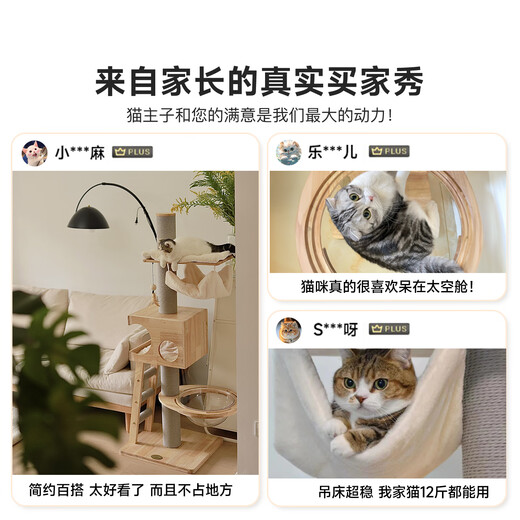 Beast Brand Mercure Solid Wood Cat Climbing Frame Does Not Take Up Small Apartment Cat Rack Multi-layer Cat Tree Cat Nest Cat Scratching Board Integrated with Space Capsule Mercure L Classic Model