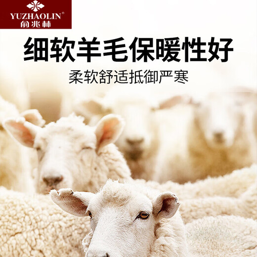 Yu Zhaolin (YUZHAOLIN) middle-aged men's hat woolen warm hat winter new dad old man retro autumn and winter gentleman hat classic hat dark gray XL (60cm or more)