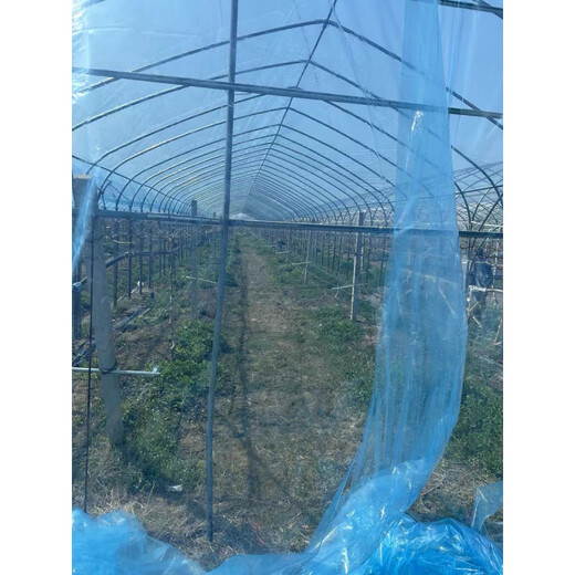 Greenhouse plastic film, non-drip film, agricultural greenhouse film, PO film, vegetable planting, anti-fog, high light transmittance, anti-aging, longevity film, blue film 8S imported longevity film, thickened, 3m wide, how many meters long, take a few pieces, send the whole picture