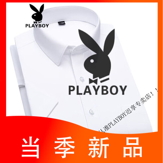 花花公子（PLAYBOY）夏季白色冰丝短袖衬衫男薄款条纹中年爸爸休闲正装免烫衬衣 DX6626 42