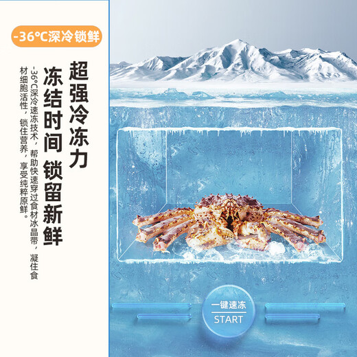 Xinfei Freezer First Class Energy Efficiency Frost Reducing Small Freezer Home Commercial Storage Energy Saving Refrigerator Freezer Small Rental Refrigerator Breast Milk Tea Fresh Refrigerator Gray 300L High Efficiency Frost Reduction-36 Cryogenic Quick Freezing