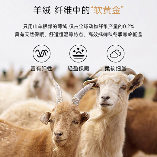 Shanshan Pure Cashmere Cashmere Sweater Men's Autumn and Winter Warm Business Casual Half Turtle Collar Bottoming Knitted Sweater