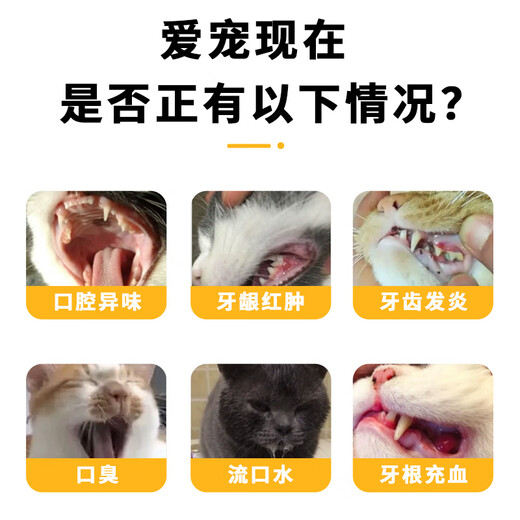 Reddit Dog Pet Oral Ulcer Bad Breath Stomatitis Gingivitis Antibacterial Oral Anti-Inflammatory Drug Metronidazole Tablets For Pets Metronidazole 1 Box