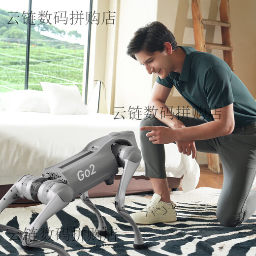 Yushu Voice Ai Modèle robot chien électronique chien incarné d'intelligence accompagnement bionic compagne robot quatre go2-pro + télécommande
