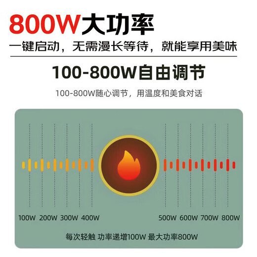 SUCPOYE health kettle teapot electric kettle kettle thermostatic kettle glass flower teapot milk warmer 24H insulation green 1.8L