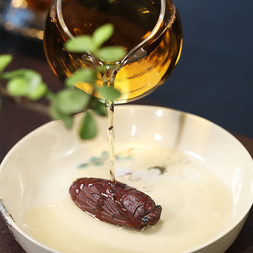 Hidden Pot World Yixing Purple Clay Tea Pet Tea Tray Ornaments Tea Ceremony Accessories Tea Play Original Mineral Purple Clay Singing Cicada Tea Pet Singing Cicada Tea Pet