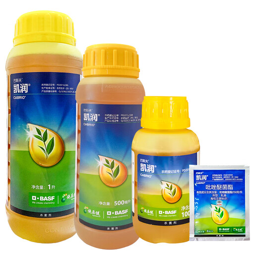 BASF Germany BASF Kairun pyraclostrobin rose downy mildew cucumber powdery mildew watermelon anthrax pesticide fungicide 100ml