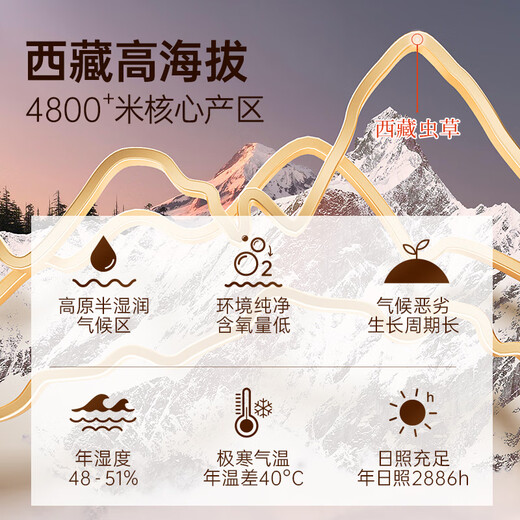 阿依舍 【西藏那曲】正宗野生冬虫夏草新干虫草高端滋补礼盒节日送礼 【西藏那曲严选】野生·4根/克3克礼盒装