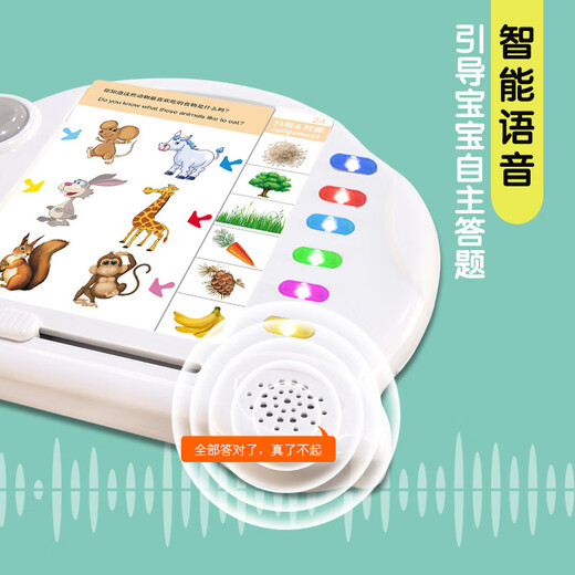 Chunjin Qiuli Préscolaire Préschool de la pensée logique de formation des enfants