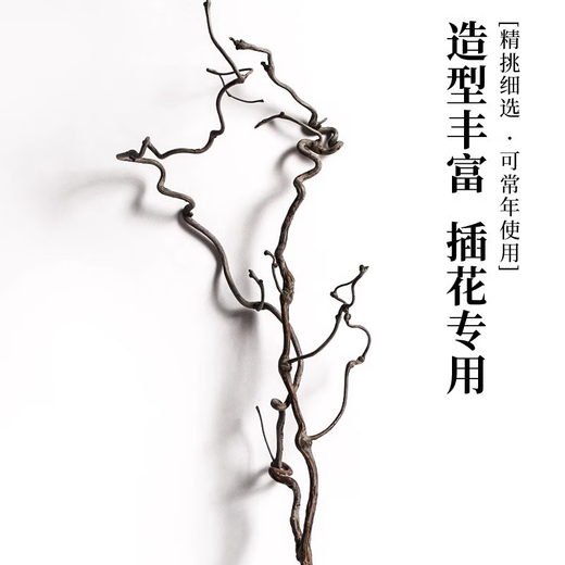 接运猫龙枣干枝树枝树干装饰弯曲插花干枝风干干花龙枣枝11011 天然龙枣枝15885cm一物一拍 干树枝