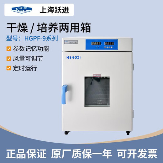 JPHZNBHGZF-9023 desktop blower drying box precision drying box high temperature box hot air disinfection box HGPF-9272