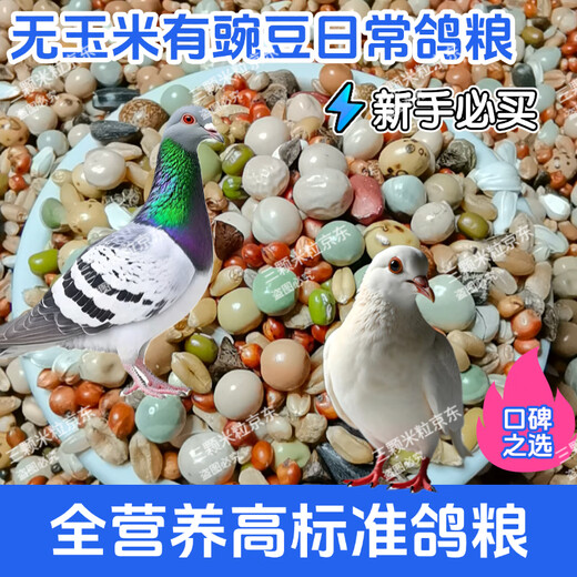 New pigeon food 20 Jin Jin is equal to 0.5 kg. Corn-free pigeon food with corn pigeon feed racing nutrition pigeon food for adult and young pigeons 5 Jin Jin is equal to 0.5 kg. No corn pigeon food with peas 20 Jin Jin is equal to 0.5 kg.