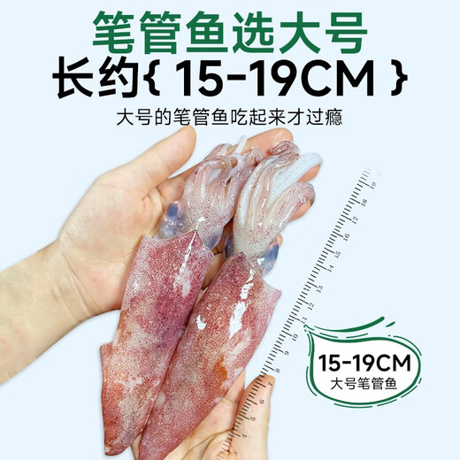 Fishing Travel Notes Whole Seed Pen Tube Fish Net Weight 1000g Contains Ice 0.1kg Squid Sea Rabbit Seed Uman Seeds Soft Pedals with Seeds