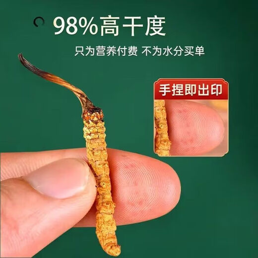 冬虫夏草冬虫夏草藏区雪域虫草2根一克干货冬虫草送礼佳品60根 60根礼盒装【规格2.5根1克】