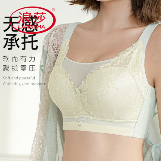 浪莎（LangSha）胖mm大码调整型文胸大胸显小无钢圈聚拢上托侧收副乳防下垂内衣女 奶肤色+奶肤色【2件装】 80B 36