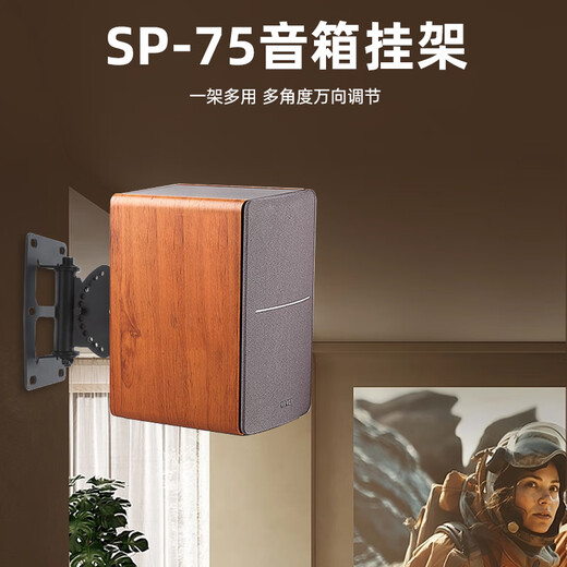 Aiyuan Professional Speaker Bracket KTV Stage Card Package Wall Mount Surround Sound Bracket Home Conference Room Ceiling Hanger SP-75 Vertical Style (2 Pack)