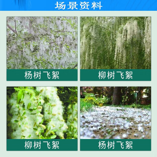 Taibang 4% gibberellic acid catkins and poplar catkins inhibitor eliminator willow and poplar catkins to prevent flowering and fruiting 10ml*50