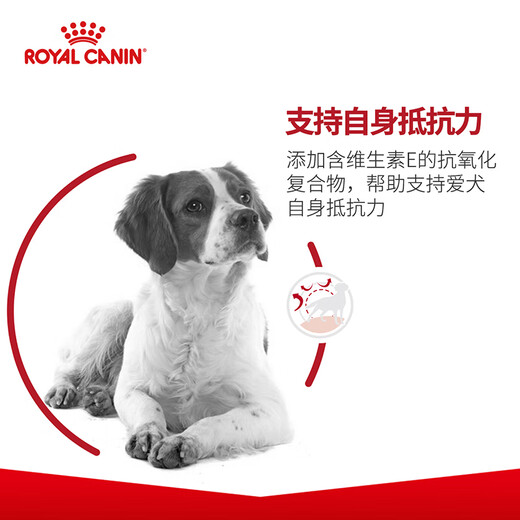 Королевский корм для собак для взрослых собак корм для собаки Pet Dog M25