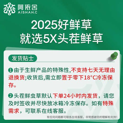 阿依舍 2025年头茬新鲜冬虫夏草鲜虫草礼盒冷鲜空运送长辈端午节礼物 0.7克/根 50根礼盒装