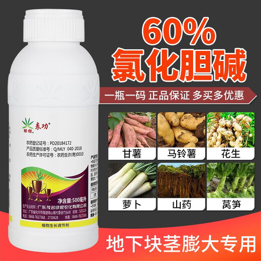 60% Choline Chloride Garlic Ginger Onion Sweet Potato Peanut Potato Ginseng Medicinal Ginger Underground Rhizome Enlarger 10g*1 Bag