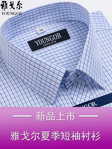 GY雅戈尔男士短袖衬衫夏季纯.棉免烫中年休闲商务职业正装格子衬衣 短袖蓝色DX6630 38