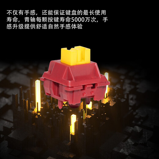 Leichuang axis, linear axis, segment axis, DIY customized Internet cafe mechanical keyboard axis, silent axis, cross dustproof, hot-swappable, white, 35 customized air shafts + puller + can