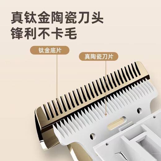 XMSJ Puppy Shaver Special Pet Electric Clipper Shear Teddy Cat Shaving Machine Dog Hair Shaving Artifact Full Set of Tools White Upgraded Model + Beauty Tools