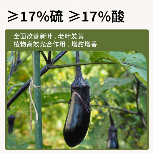 Abono especial para arándanos y fresas, solución nutritiva para mejorar el curvado y la caída de las hojas de los árboles, abono soluble en agua tipo fruta, abono compuesto orgánico, 20 paquetes, envasado individualmente - con paquete de prueba