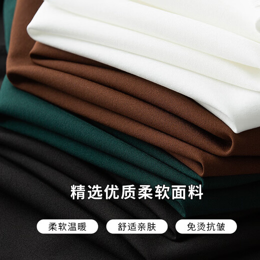 PRIDEME Workplace Commuter Autumn Thin Shirt Long Sleeve Men's Slim Non-Soled Anti-Wrinkle White Business Casual Shirt Men 6623-White M