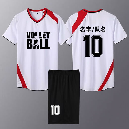 新款排球服套装男短袖定制女款速干气排球服专业训练比赛队服印字 829女款蓝色，效果图仅参考 L L
