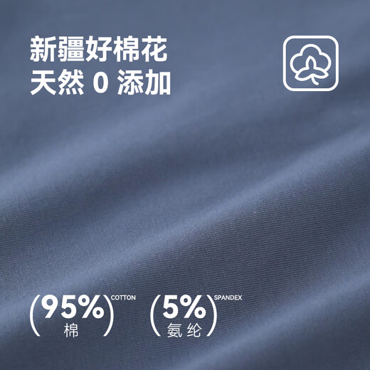 JD.com [President's Underwear] Pure Cotton Men's Underwear 7A Class Antibacterial Men's Boxer Large Size Boxer Shorts 2XL