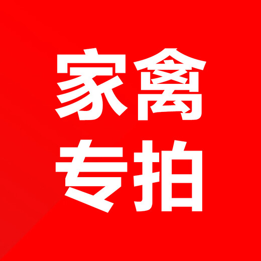 Xiaomuxia Sulfonate for chickens, ducks, geese, pigeons, quail feed additives, poultry special shot, Doshi