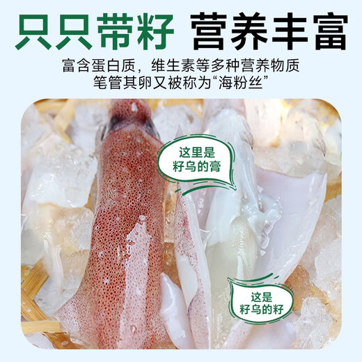 Fishing Travel Notes Whole Seed Pen Tube Fish Net Weight 1000g Contains Ice 0.1kg Squid Sea Rabbit Seed Uman Seeds Soft Pedals with Seeds