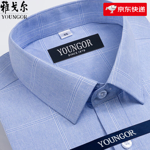 雅戈尔旗舰官方店短袖衬衫男士夏季中年休闲商务免烫格子职业衬衣服 短袖DX6636 39 建议【95-115斤】