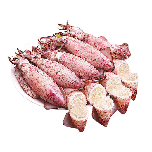 Fishing Travel Notes Whole Seed Pen Tube Fish Net Weight 1000g Contains Ice 0.1kg Squid Sea Rabbit Seed Uman Seeds Soft Pedals with Seeds