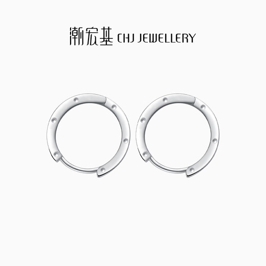 Trendy Acer Minimalist Platinum Earrings Women's Earrings for Girlfriend's Birthday Gift Priced at RMB 100 per piece Single Model Approximately 0.8g